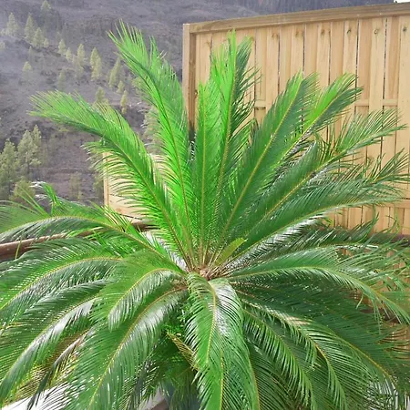 Casa Pitita * Maspalomas (Gran Canaria)