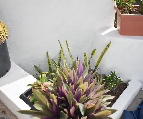 Casa Pitita Maspalomas (Gran Canaria)