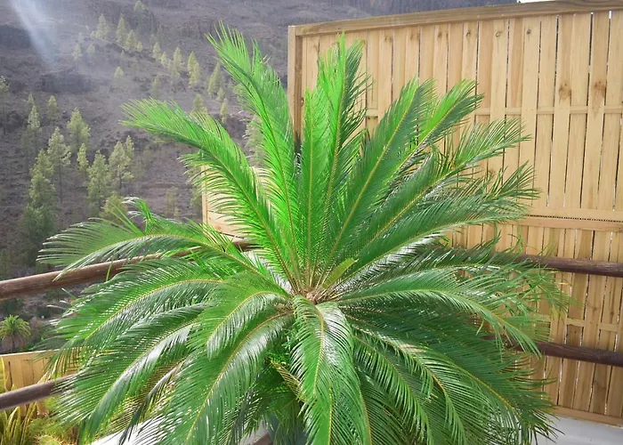 Casa Pitita * Maspalomas (Gran Canaria)